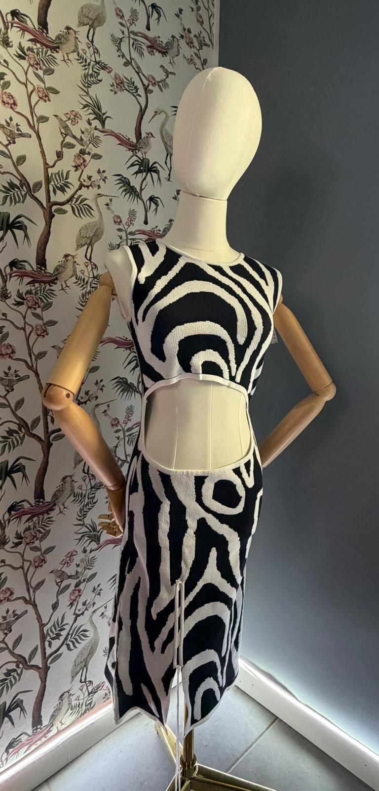 04062026-3 Abito Aderente Longuette Fantasia Zebra - Image 1